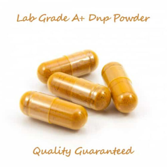DNP weight loss fat burner 200 mg 100 capsules bottle for advanced cutting cycles